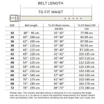 D555 LEWIS SMART NARROW BLACK BELT