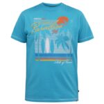 D555 AARON SURFERS PARADISE PRINTED CREW NECK TEE SHIRT TURQUOISE