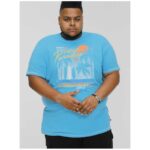 D555 AARON SURFERS PARADISE PRINTED CREW NECK TEE SHIRT TURQUOISE
