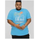 D555 AARON SURFERS PARADISE PRINTED CREW NECK TEE SHIRT TURQUOISE