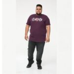 D555 GIBBS VINTAGE CDS PRINT CREW NECK TEE SHIRT