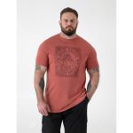 D555 TITCHMARSH Palm Beach Printed Crew Neck T-Shirt